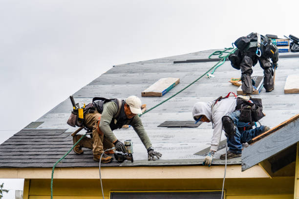 Professional Flat Roof Repair technician working in Pease, MN